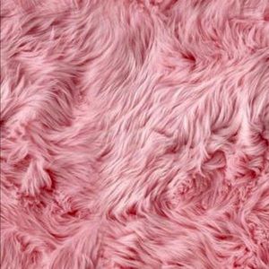 Meet your Posher, Daisy